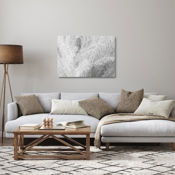 Skleněný obraz - Pampas grass N⁰1 (70x50 cm)