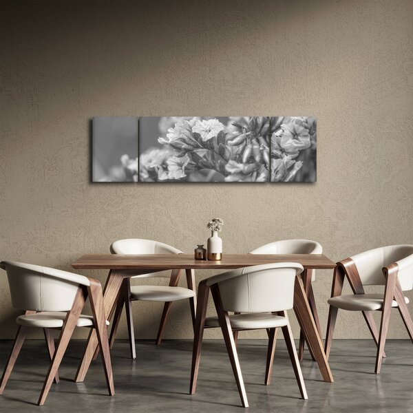 Obraz - Sušené květy (170x50 cm)