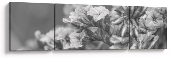Obraz - Sušené květy (170x50 cm)