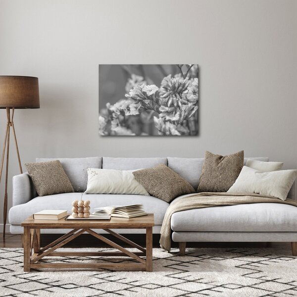 Obraz - Sušené květy (70x50 cm)