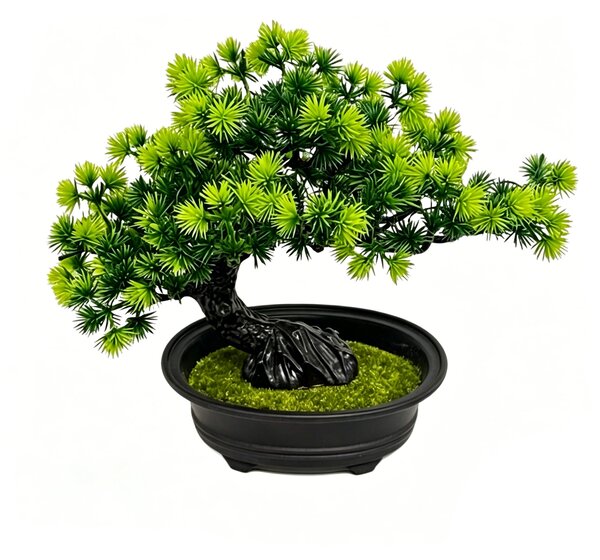 Sinsay - Dekorační rostlina bonsai v květináči - zelená