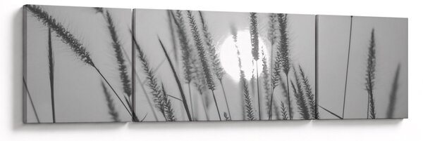 Obraz - Louka při západu slunce (170x50 cm)