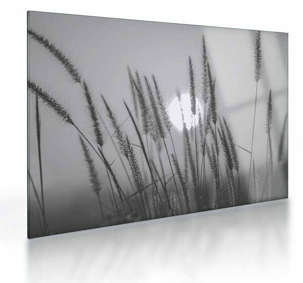 Skleněný obraz - Louka při západu slunce (70x50 cm)