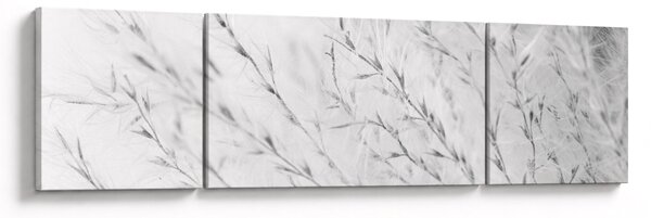 Obraz - Pampas grass N⁰2 (170x50 cm)