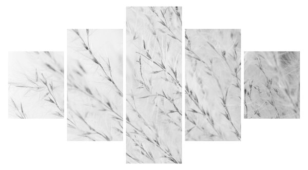 Obraz - Pampas grass N⁰2 (125x70 cm)