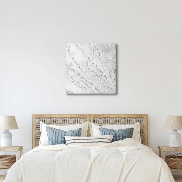 Obraz - Pampas grass N⁰2 (30x30 cm)