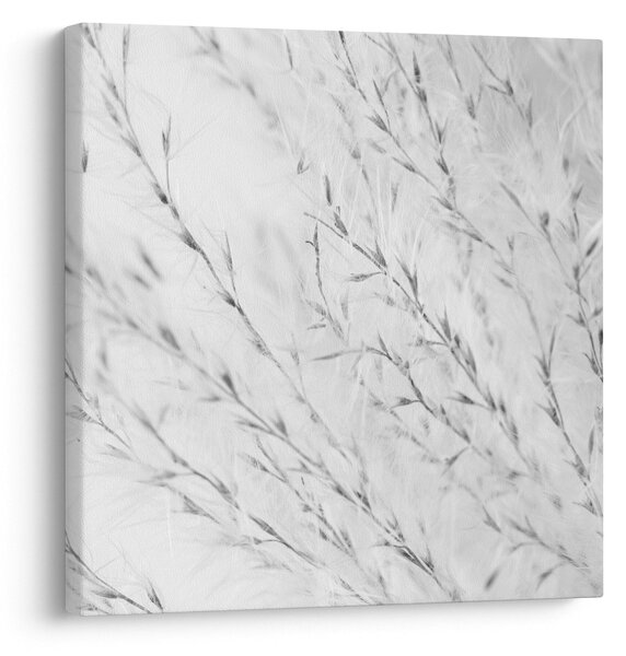 Obraz - Pampas grass N⁰2 (30x30 cm)