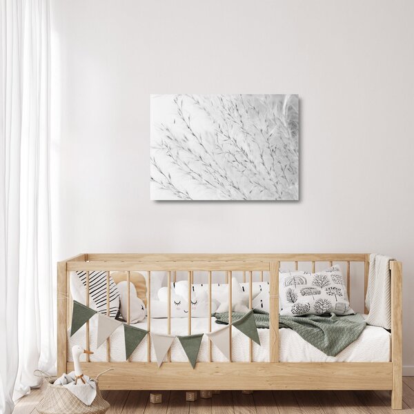 Skleněný obraz - Pampas grass N⁰2 (70x50 cm)