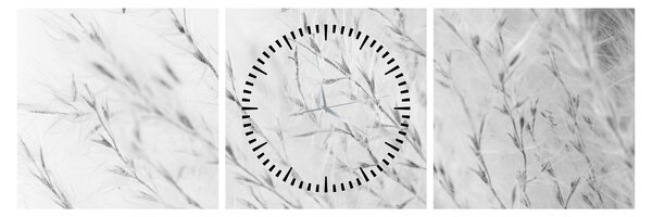 Obraz - Pampas grass N⁰2 (s hodinami) (90x30 cm)