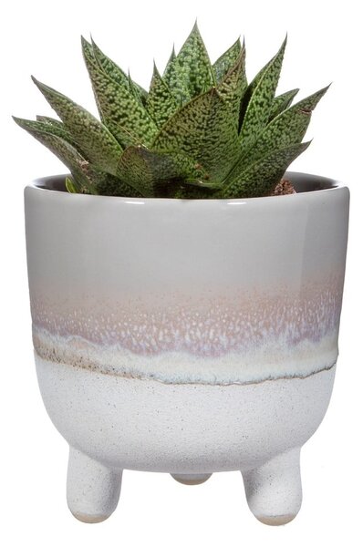 Šedý květináč Sass & Belle Bohemian Home Mojave, ø 11,7 cm