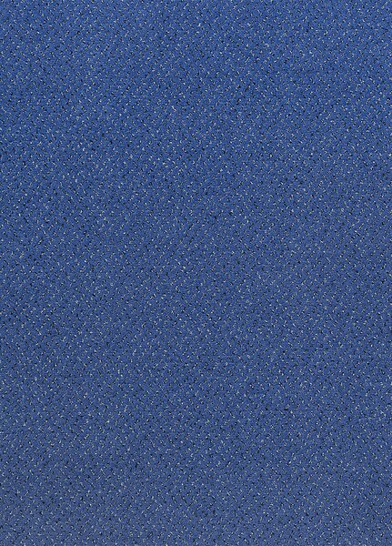 Breno Metrážový koberec FORTESSE SDE NEW 174, šíře role 400 cm, Modrá