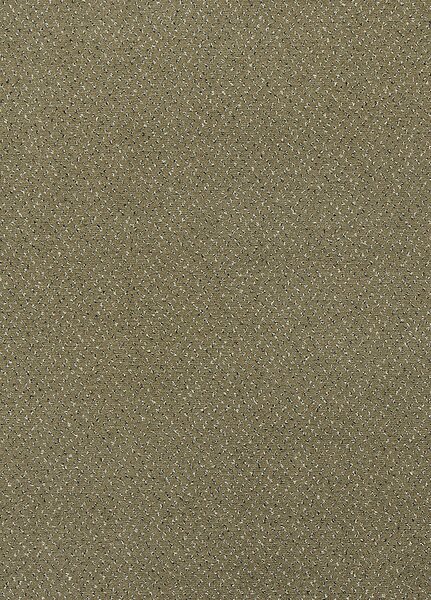 Breno Metrážový koberec FORTESSE SDE NEW 40, šíře role 400 cm, Hnědá, Vícebarevné