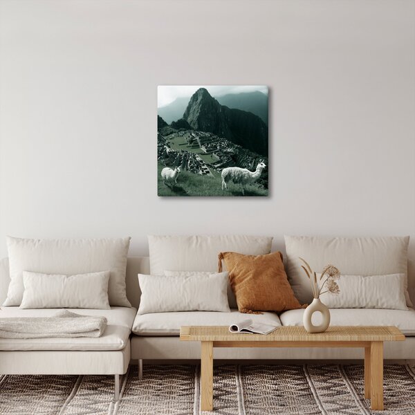 Obraz - Lamy na Machu Picchu v Peru (30x30 cm)