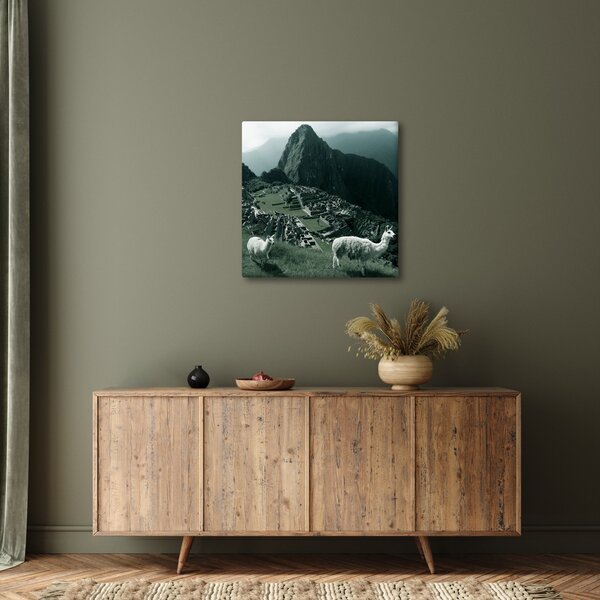 Obraz - Lamy na Machu Picchu v Peru (30x30 cm)