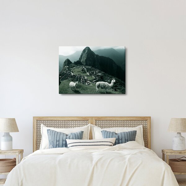 Obraz - Lamy na Machu Picchu v Peru (70x50 cm)