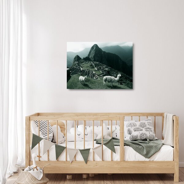 Skleněný obraz - Lamy na Machu Picchu v Peru (70x50 cm)