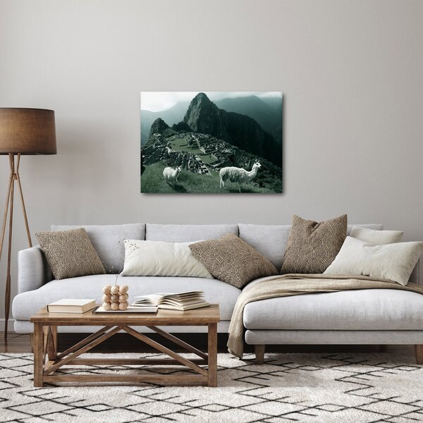 Obraz - Lamy na Machu Picchu v Peru (70x50 cm)