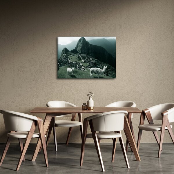 Obraz - Lamy na Machu Picchu v Peru (70x50 cm)