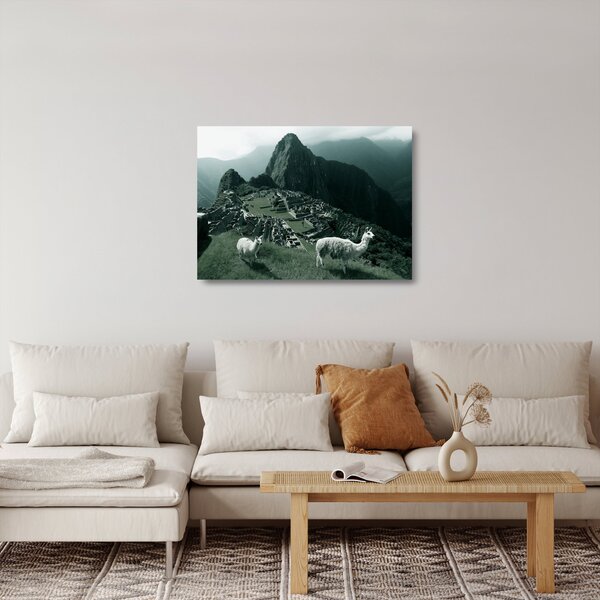Skleněný obraz - Lamy na Machu Picchu v Peru (70x50 cm)