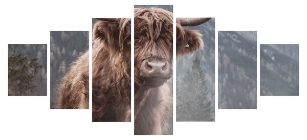 Obraz - Highlander kráva (210x100 cm)