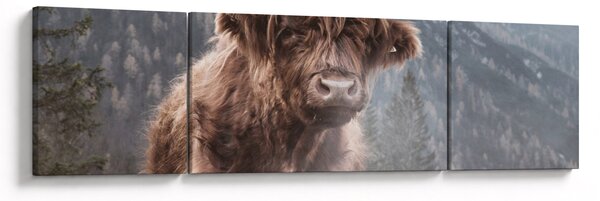Obraz - Highlander kráva (170x50 cm)
