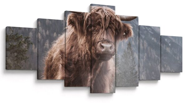 Obraz - Highlander kráva (210x100 cm)