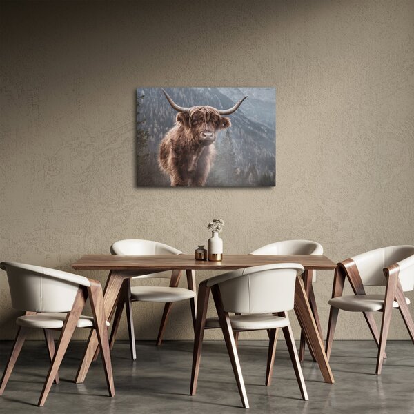 Obraz - Highlander kráva (70x50 cm)