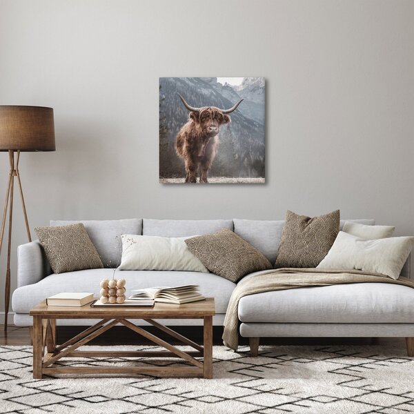 Obraz - Highlander kráva (30x30 cm)