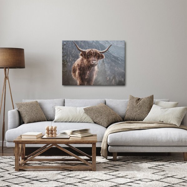 Obraz - Highlander kráva (70x50 cm)