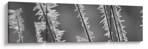 Obraz - Mrazivá zima (170x50 cm)