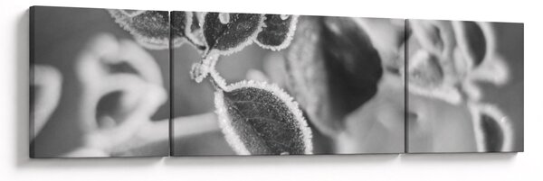 Obraz - Příroda na podzim (170x50 cm)