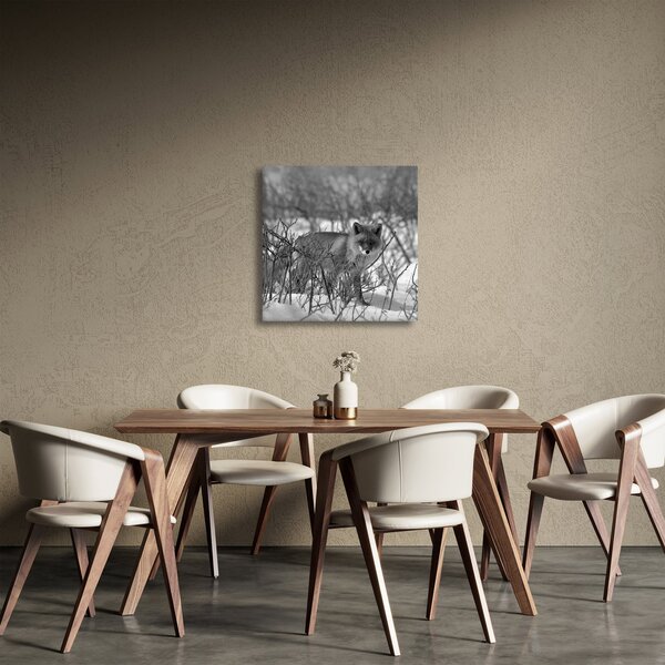 Obraz - Liška v zimě (30x30 cm)