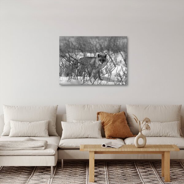 Obraz - Liška v zimě (70x50 cm)