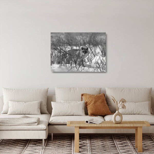 Skleněný obraz - Liška v zimě (70x50 cm)