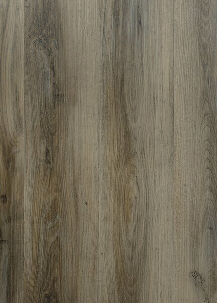 Breno Vinylová podlaha MODULEO SELECT Classic Oak 24877, velikost balení 3,881 m2 (15 lamel)