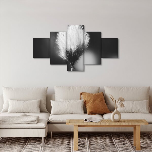 Obraz - Černobílý cottongrass (125x70 cm)