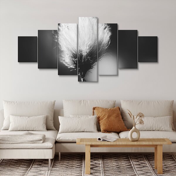 Obraz - Černobílý cottongrass (210x100 cm)