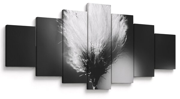 Obraz - Černobílý cottongrass (210x100 cm)