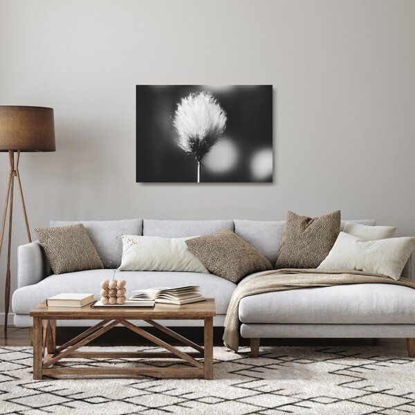 Skleněný obraz - Černobílý cottongrass (70x50 cm)