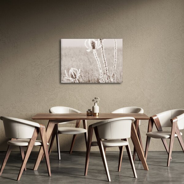 Obraz - Bodlák v zimě (70x50 cm)
