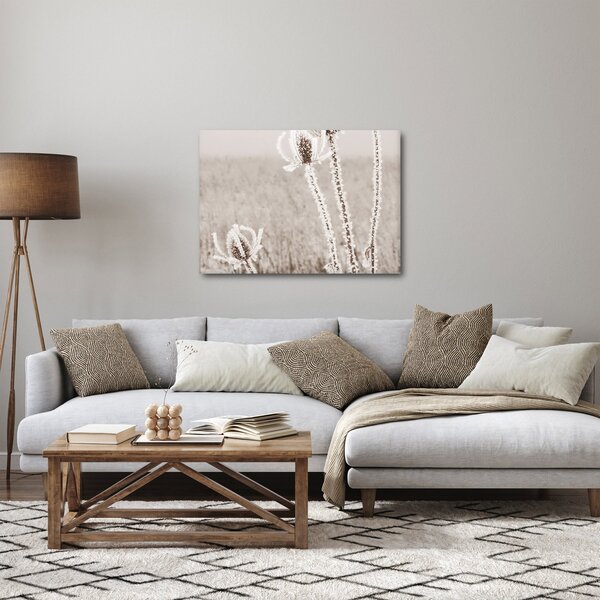Obraz - Bodlák v zimě (70x50 cm)