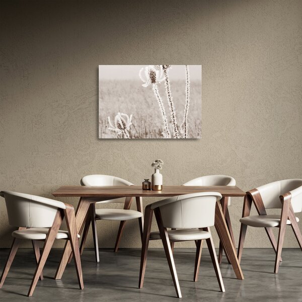 Skleněný obraz - Bodlák v zimě (70x50 cm)
