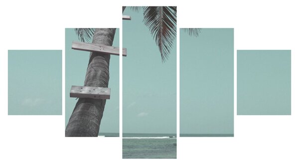 Obraz - Palma v Karibiku (125x70 cm)