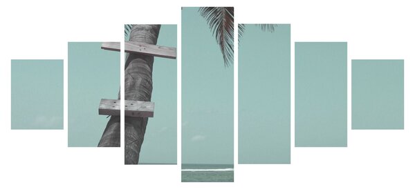 Obraz - Palma v Karibiku (210x100 cm)