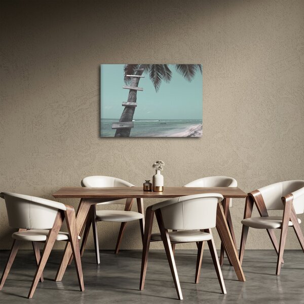 Obraz - Palma v Karibiku (70x50 cm)