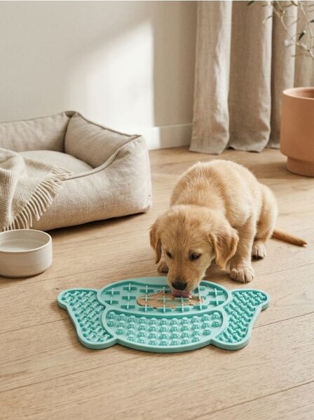 Sinsay - Silikonová podložka pro psa zpomalující jídlo - mentolová