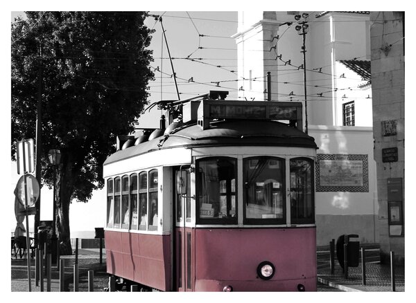 Obraz - Tramvaj (70x50 cm)
