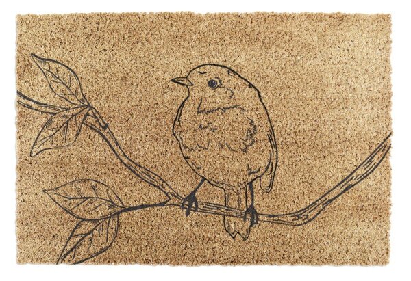 Rohožka z kokosového vlákna 40x60 cm Pencil Robin – Artsy Doormats