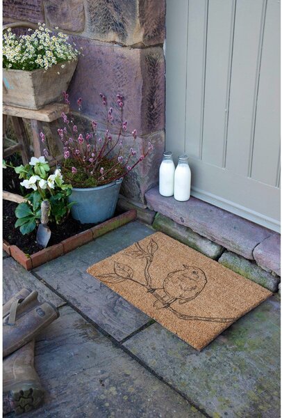 Rohožka z kokosového vlákna 40x60 cm Pencil Robin – Artsy Doormats