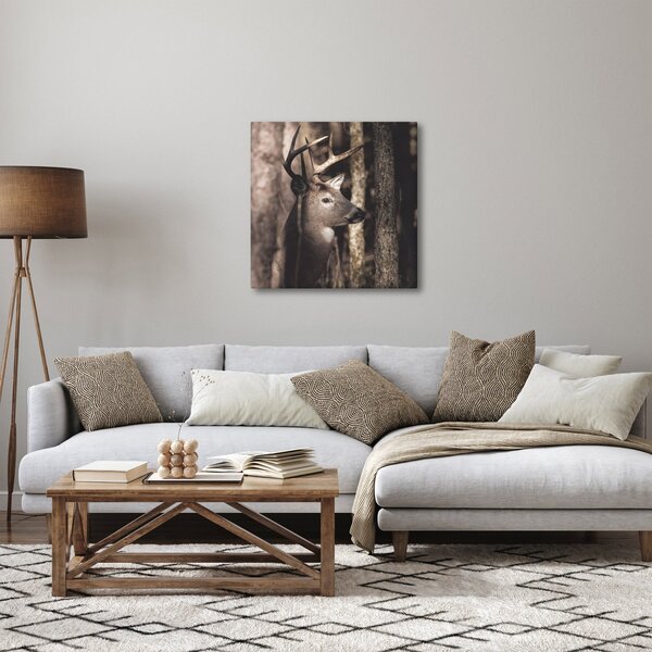 Obraz - Jelen v lese (30x30 cm)